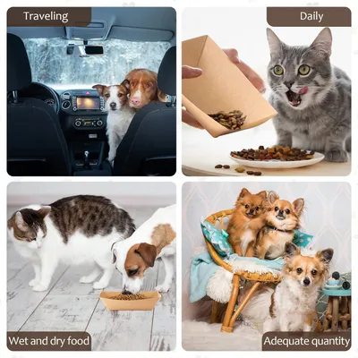 Gamelles jetables pour animaux de compagnie