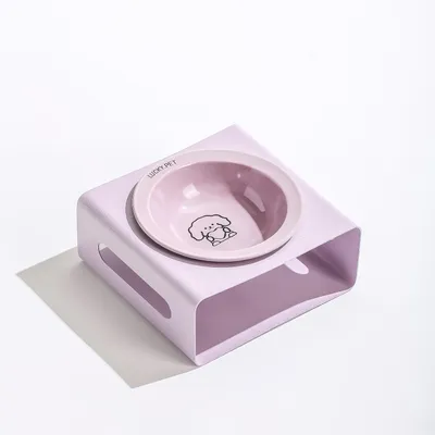 Gamelle pour chien en céramique avec support en acier inoxydable