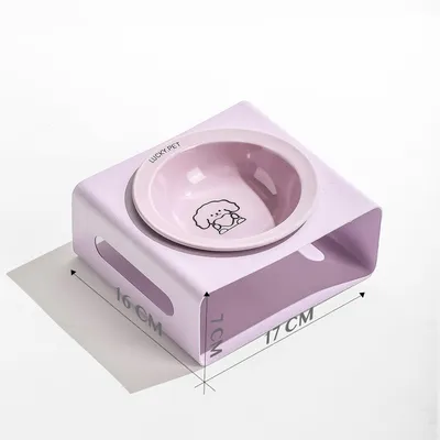 Gamelle pour chien en céramique avec support en acier inoxydable