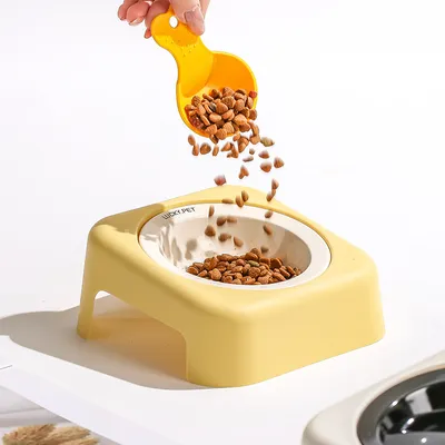 Gamelle inclinée en céramique pour chien