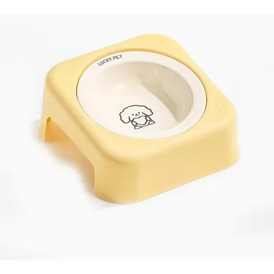 Gamelle inclinée en céramique pour chien