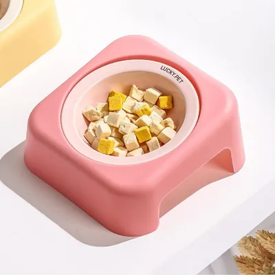 Gamelle inclinée en céramique pour chien