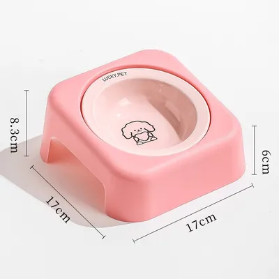 Gamelle inclinée en céramique pour chien