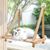 Perchoir pour fenêtre de chat - Hamac pour chat