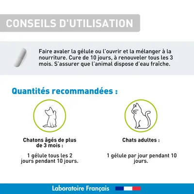 Purge naturelle Chat et chaton