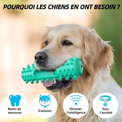Pet Planet Jouet à mâcher, bâtonnet de nettoyage dentaire pour chien