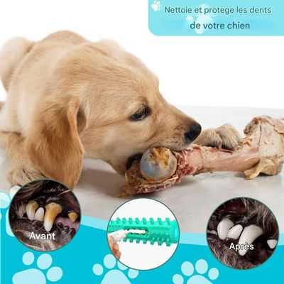 Pet Planet Jouet à mâcher, bâtonnet de nettoyage dentaire pour chien