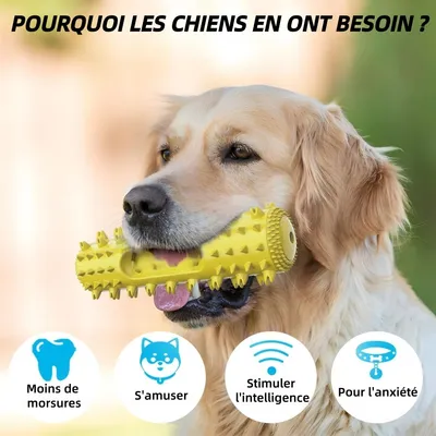 Pet Planet Jouet à mâcher, bâtonnet de nettoyage dentaire pour chien
