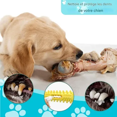 Pet Planet Jouet à mâcher, bâtonnet de nettoyage dentaire pour chien