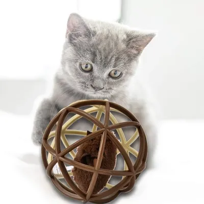 Petopia Jouet en plastique pour chat (Balle de sisal)