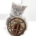 Petopia Jouet en plastique pour chat (Balle de sisal)