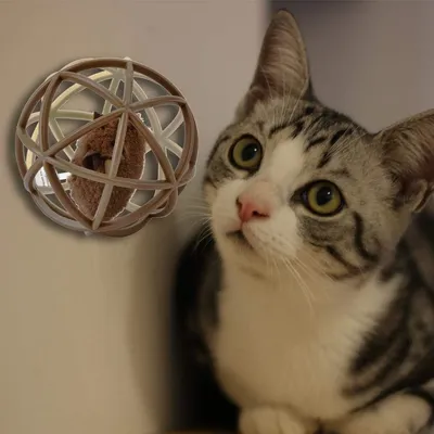 Petopia Jouet en plastique pour chat (Balle de sisal)