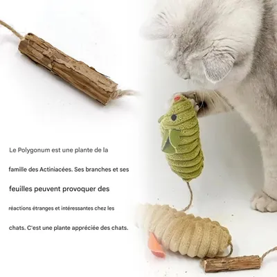 Petopia Jouet en forme de souris