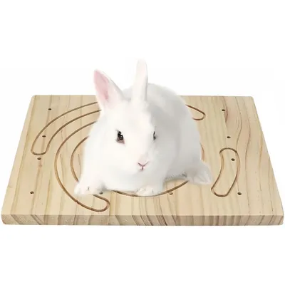 Pet Planet Rongeurs Râcle - nails en bois naturel