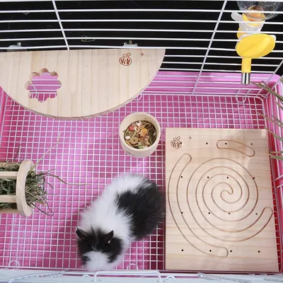 Pet Planet Rongeurs Râcle - nails en bois naturel