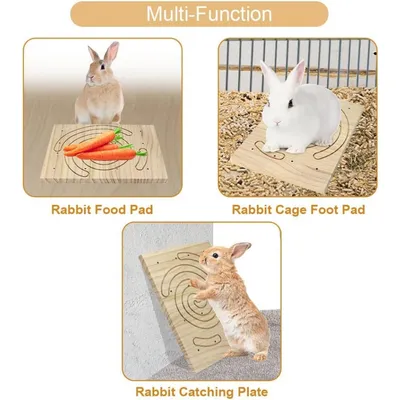 Pet Planet Rongeurs Râcle - nails en bois naturel