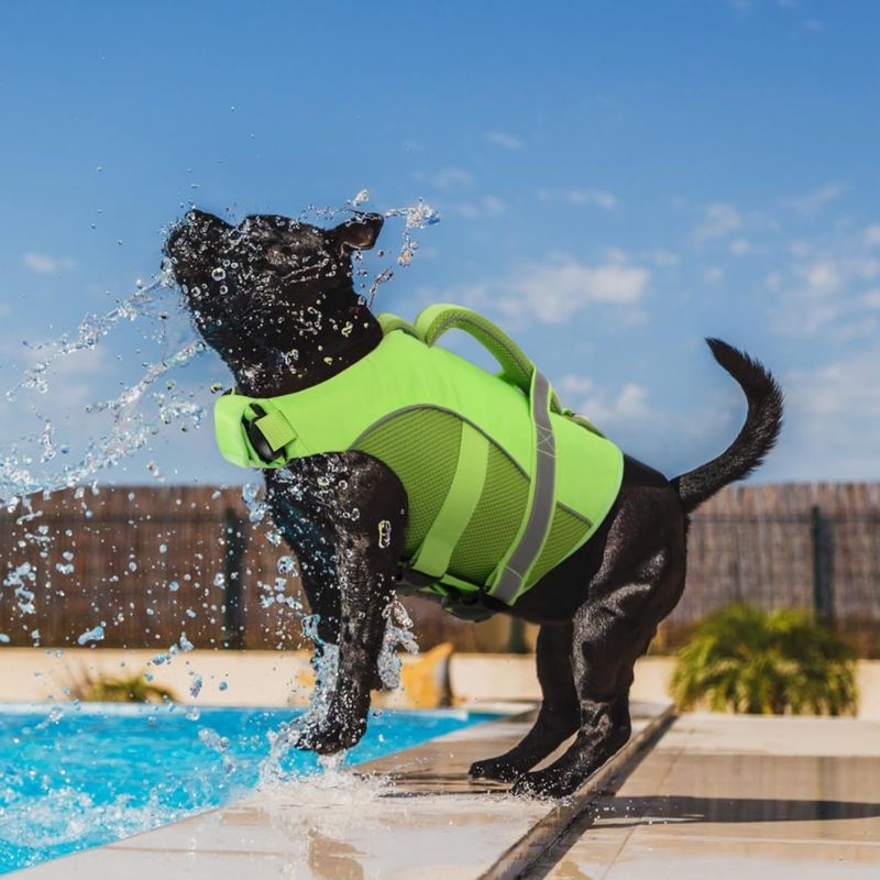 Petopia Gilet de sauvetage pour chien