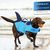 Petopia Gilet de sauvetage pour chien en forme de requin