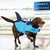 Petopia Gilet de sauvetage pour chien en forme de requin Petopia Gilet de sauvetage pour chien en forme de requin