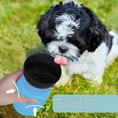 Petopia Botella de agua portátil para perros de 500 ml