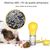 Pet Planet Bouteille d'eau de voyage pour chien