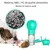 Pet Planet Bouteille d'eau de voyage pour chien
