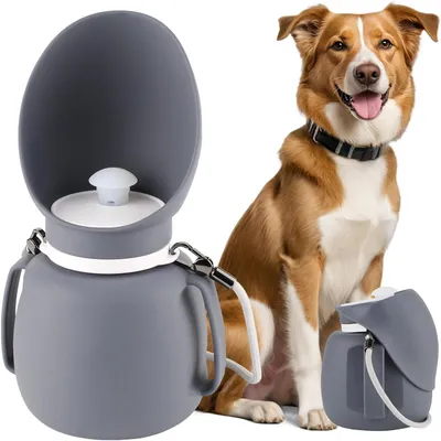 Pet Planet Gourde d'eau portable de 800 ml pour chien