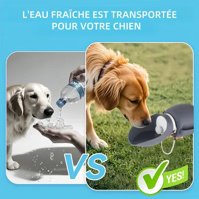 Pet Planet Gourde d'eau portable de 800 ml pour chien