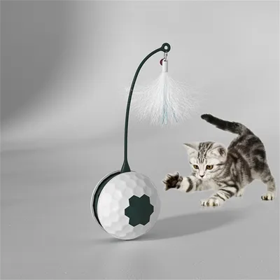 Pet Planet Jouet électronique Balle oscillante pour chat