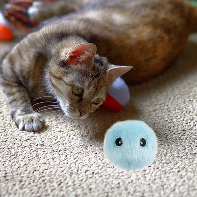 Pet Planet Chats Jouets interactifs
