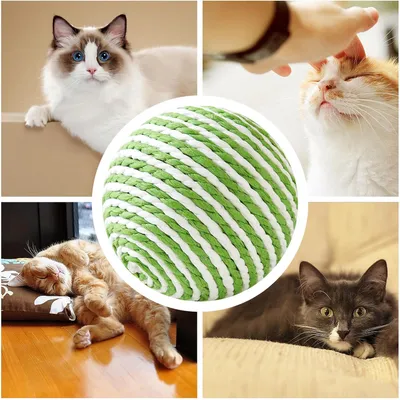 Balle en Sisal pour Chat Jouet interactif pour chat