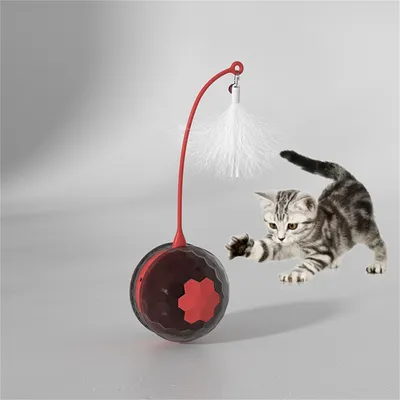 Pet Planet Jouet électronique Balle oscillante pour chat Pet Planet Jouet électronique Balle oscillante pour chat