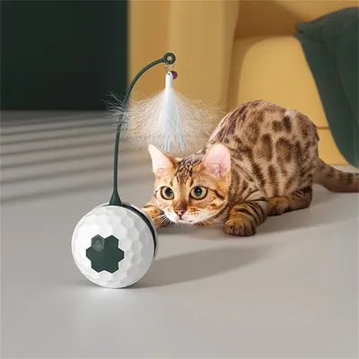 Pet Planet Jouet électronique Balle oscillante pour chat