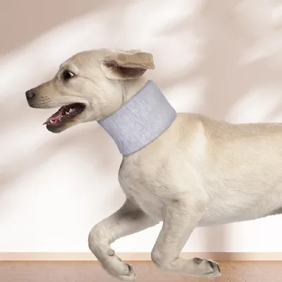 Petopia Collier protecteur de cou pour chien et chat