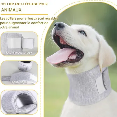 Petopia Collier protecteur de cou pour chien et chat