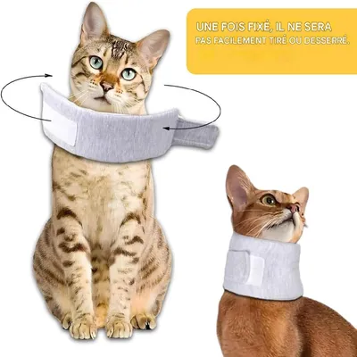 Petopia Collier protecteur de cou pour chien et chat