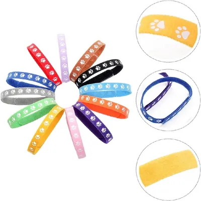 Petopia Colliers pour chiens 12 pièces