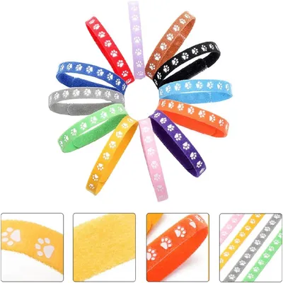 Petopia Colliers pour chiens 12 pièces