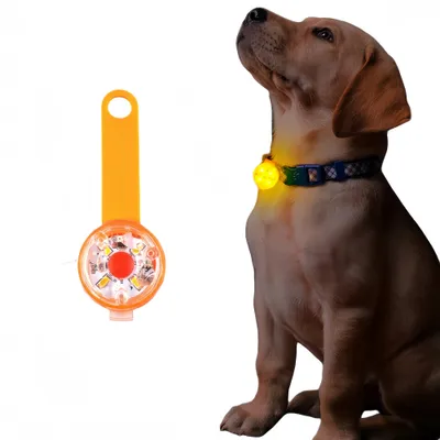 Petopia Sécurité LED clignotant pour chiens