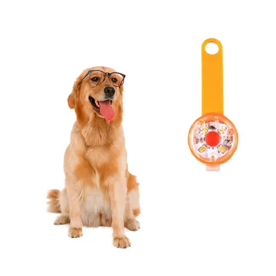 Petopia Sécurité LED clignotant pour chiens