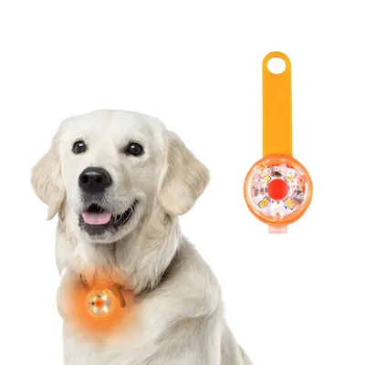 Petopia Sécurité LED clignotant pour chiens Petopia Sécurité LED clignotant pour chiens