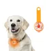 Petopia Sécurité LED clignotant pour chiens