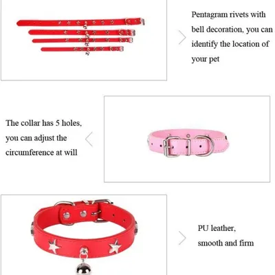 Petopia  Collier pour chien