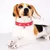 Petopia  Collier pour chien
