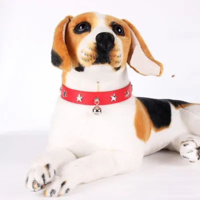 Petopia  Collier pour chien