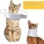 Petopia Collier protecteur de cou pour chien et chat