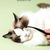 Petopia Brosses pour enlever les larmes de chien