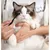 Petopia Brosses pour enlever les larmes de chien