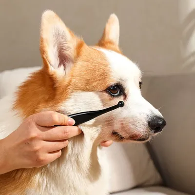 Petopia Brosses pour enlever les larmes de chien