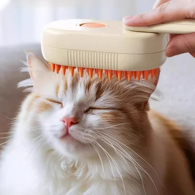Petopia Brosse humide sèche  et chat